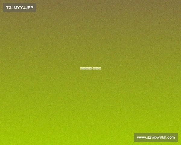 北马赛事保障标准-北马参赛服